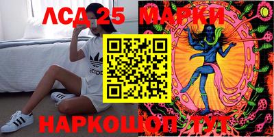 спиды Новодвинск