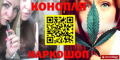 спиды Новодвинск
