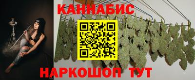 спиды Новодвинск